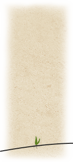 Magalakultunk